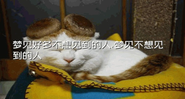在CBB决赛前，Ella Rae Wise“再也不想看到”Mickey Rourke